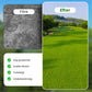 Gräsfrön för gräsmatta och golfbana