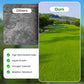 Gräsfrön för gräsmatta och golfbana
