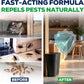 Helt ny förpackning – materialet och resultatet är precis som i videon!👍Storsäljare – Köp 2, få 1 gratis🗑️Naturlig insekts- och skadedjursspray med pepparmyntaolja🪳🦟 – Maximal styrka – En doftformel som är säker att använda i hemmet och trädgården