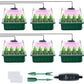 💎60% RABATT! 💎 Groningsbrickor med odlingsljus – Fuktighetskontroll, transparent och fullspektrumljus 🌱💡