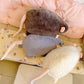 🐭💖Söt plyschråtta som leksak och kudde🎉Tidsbegränsat erbjudande: 50 % rabatt på allt