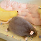 🐭💖Söt plyschråtta som leksak och kudde🎉Tidsbegränsat erbjudande: 50 % rabatt på allt