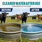💧🐄 50 % rabatt! Slipp oroa dig för smutsiga vattenkar eller envis kalkbeläggning! Dessa rengöringstabletter avlägsnar effektivt smuts och avlagringar!